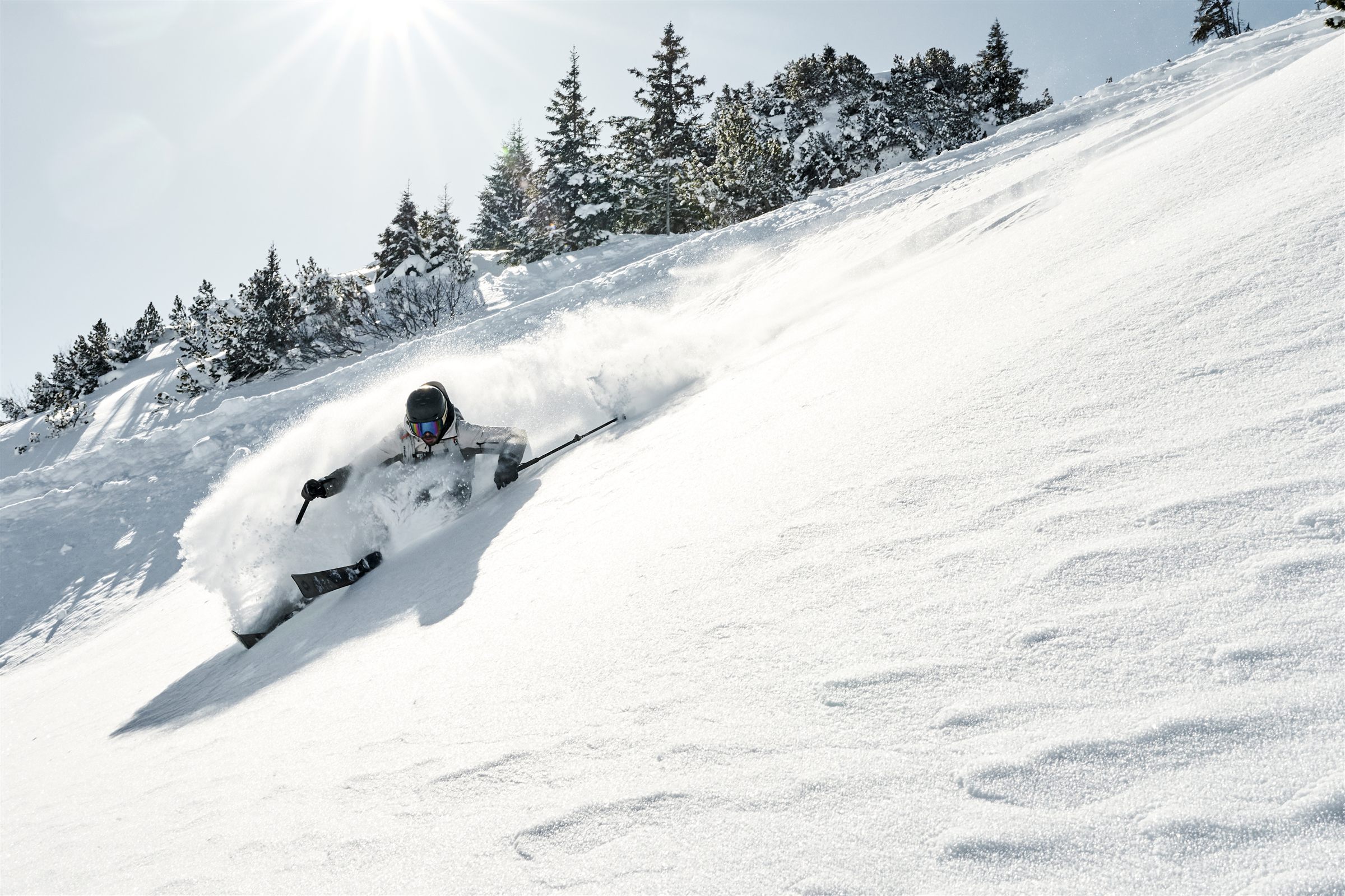 Freerider im Pulverschnee im Gegenlicht